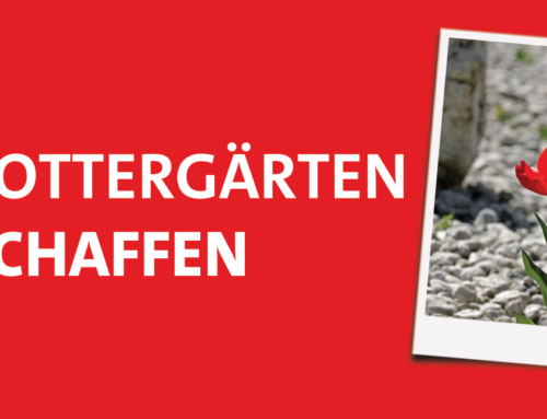 Schottergärten abschaffen! – Antrag der SPD Fraktion